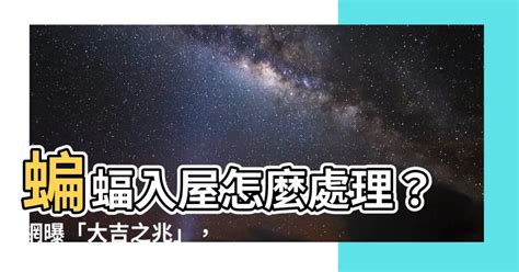 蝙蝠入屋處理 天月德日